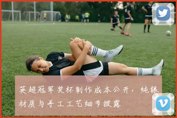 英超冠军奖杯制作成本公开，纯银材质与手工工艺细节披露
