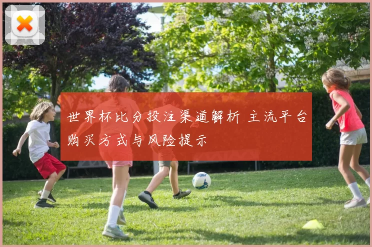世界杯比分投注渠道解析 主流平台购买方式与风险提示